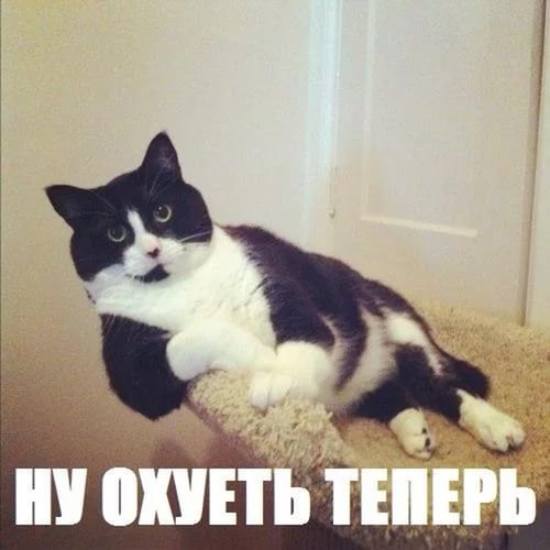В Подмосковье 13-летняя девочка забеременела от одноклассника