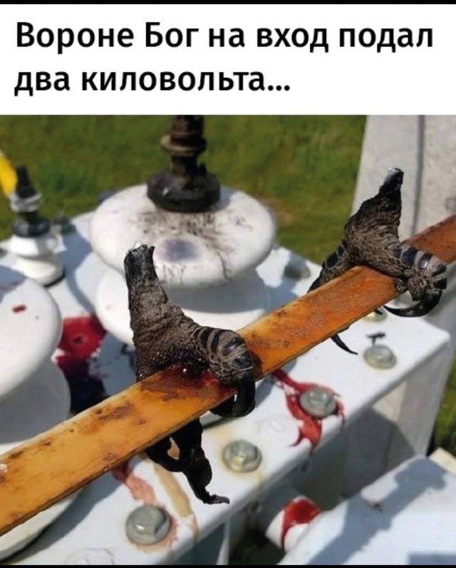 Отряд быстрого деградирования