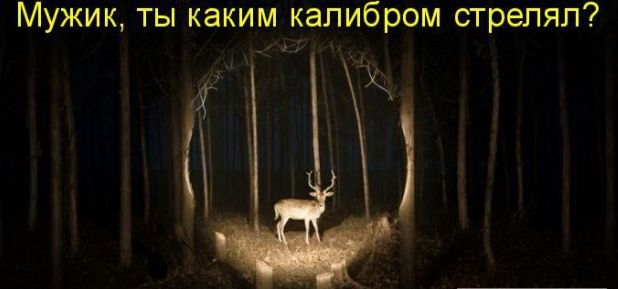 Солянка боянов из папки "Разобрать", от Удаффком до наших дней