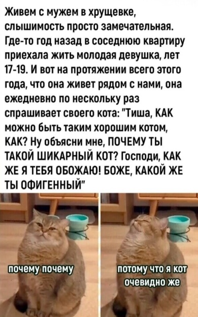 Всякая всячина