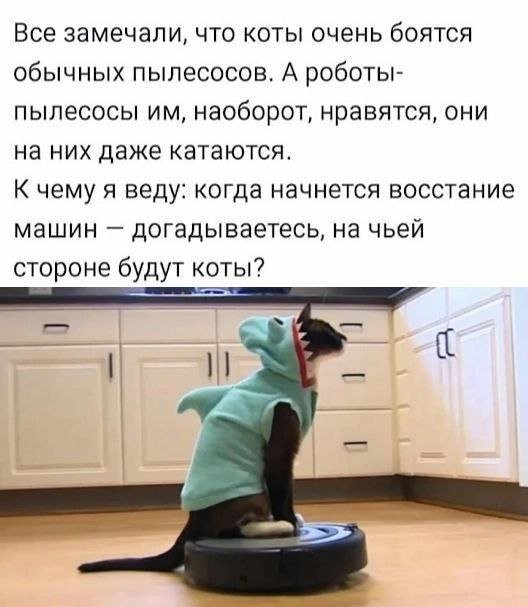 Так себе картинки 02.09.24