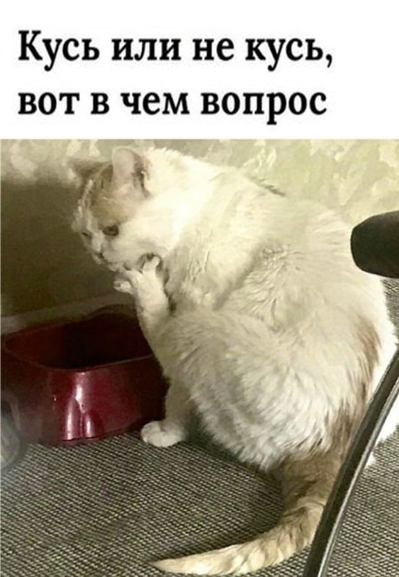 Так себе картинки 01.10.24