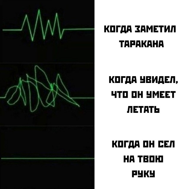 Народная меДИЧина 2001