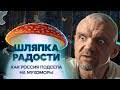 Россия стала поставлять тонны мухоморов Америке