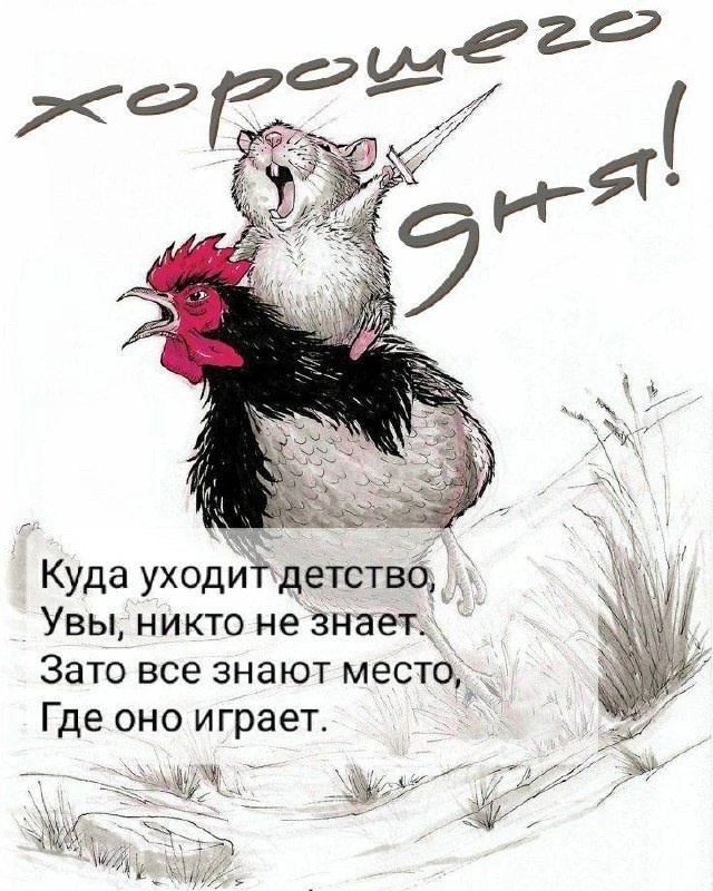 Так себе картинки 01.11.24