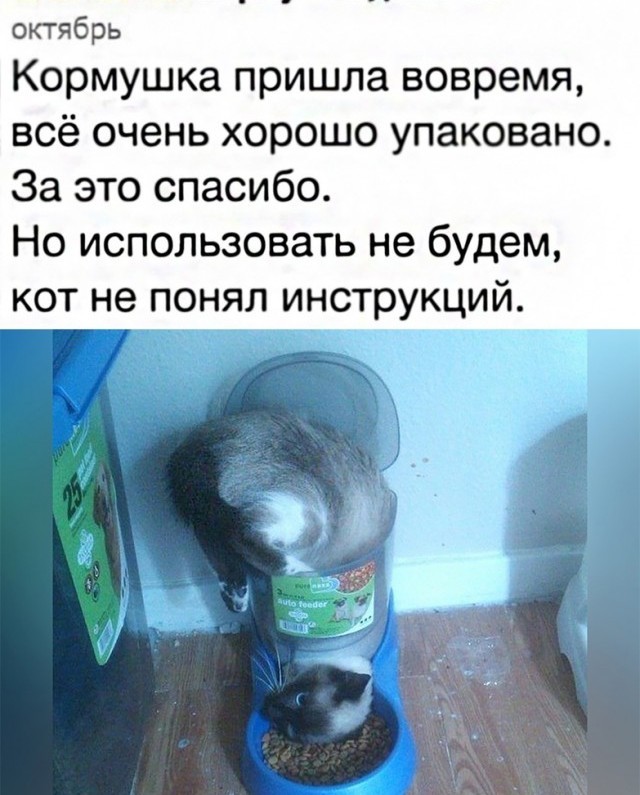 Давайте опубликуем