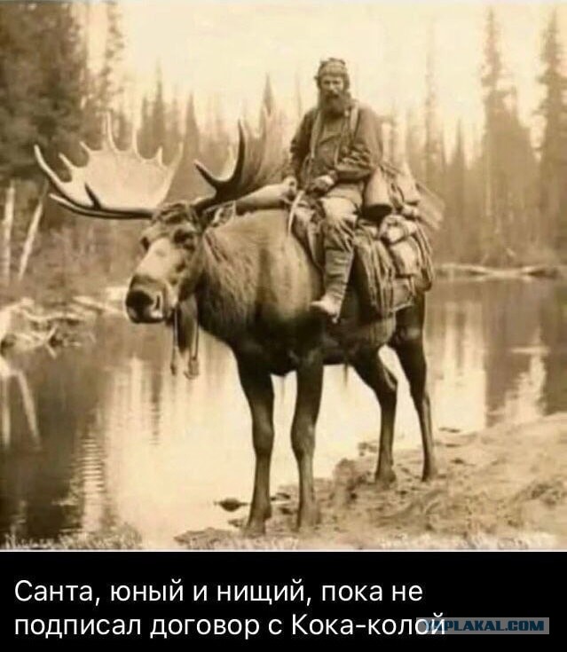 Народная меДИЧина 2024