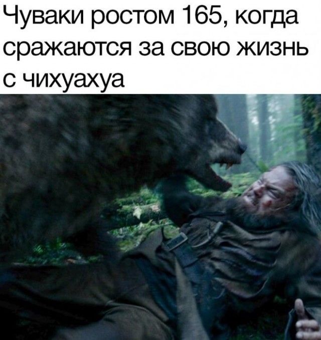 Всего понемногу. От 08.01.2025