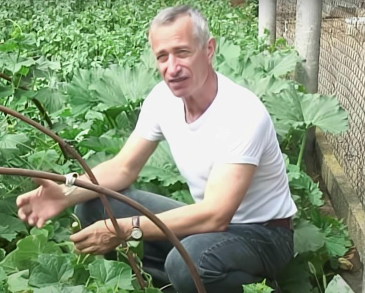 Где взять такие формы?