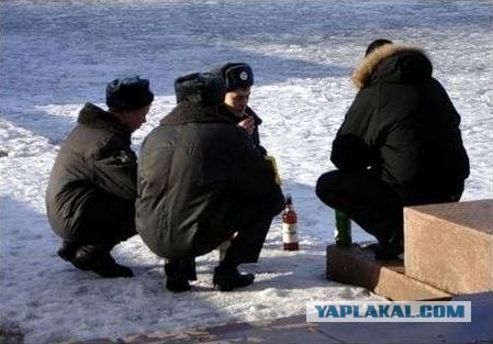 Пейте пиво!