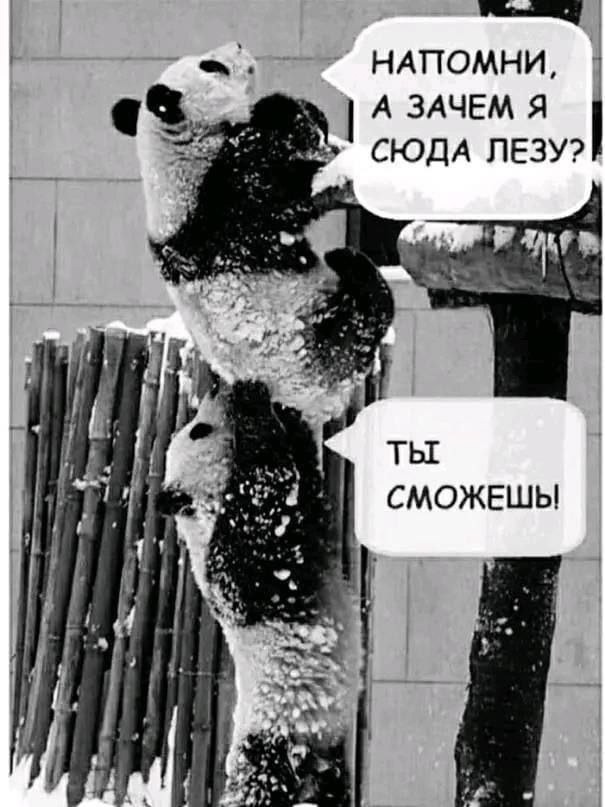 Так себе картинки 17.05.25