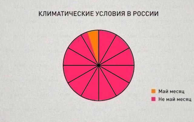Юмор для тех, кто уже повзрослел и понял, что «личная жизнь» — это кот и плед