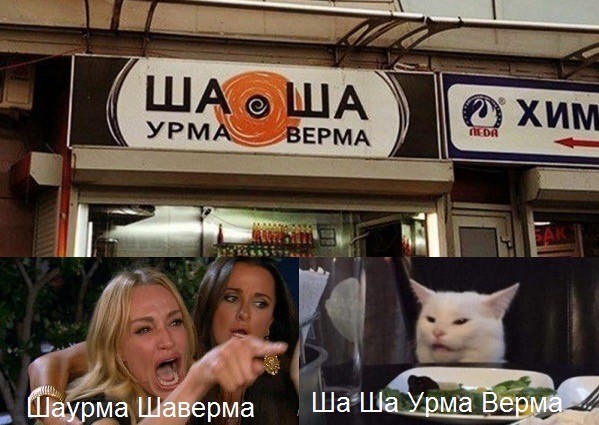 Знаменитый кот