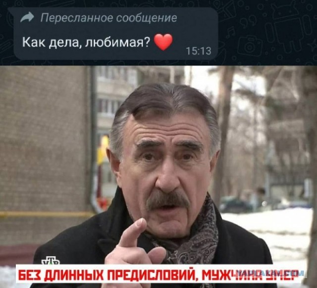 Веселые картинки в понедельник (11.08)