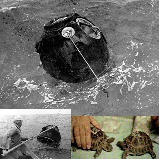 14 сентября 1968 стартовал «Зонд-5» с черепахами — они впервые облетели Луну.