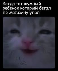 Картинки для деградации 91 (разной степени свежести)