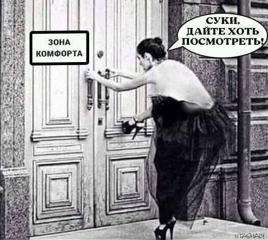 Прикольные и просто красивые картинки 25.11.2025