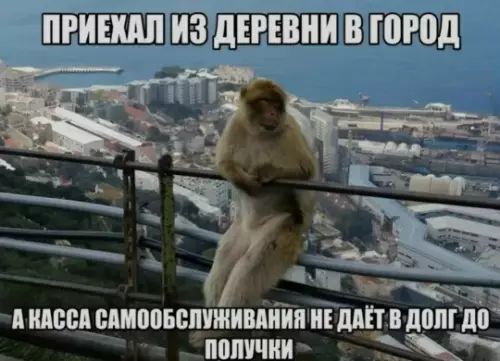 Картиночки, баянчики 17 февраля