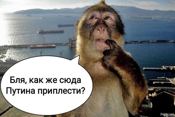 catclaw, ничего личного, просто теория вероятности :)