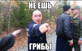 Американцы никогда не летали на Луну