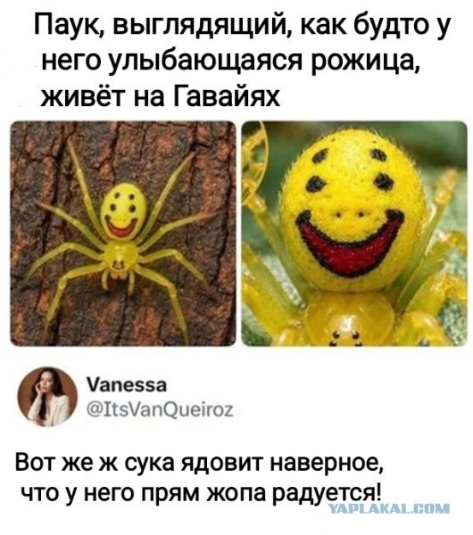 Веселое настроение в картинках 30.07.26