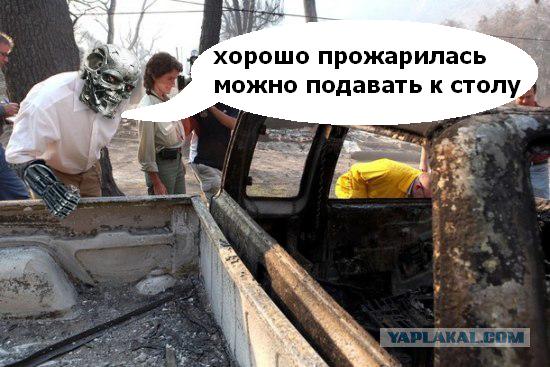 Привычка в крови