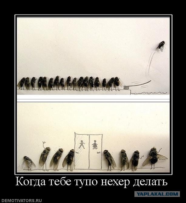 Комар деловой