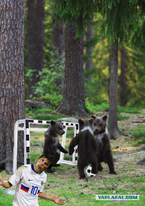 Утренник в лесу