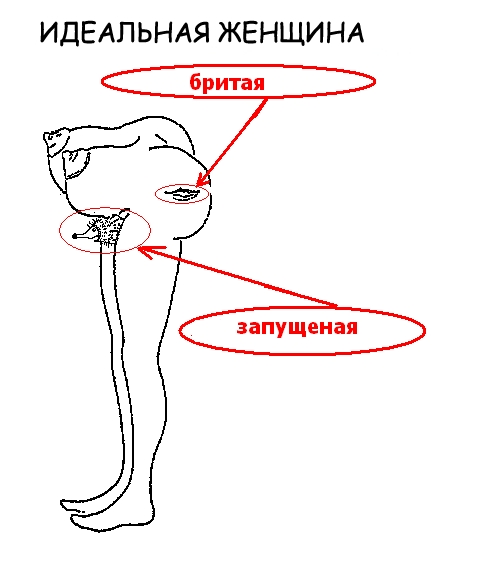 Сиськоноги