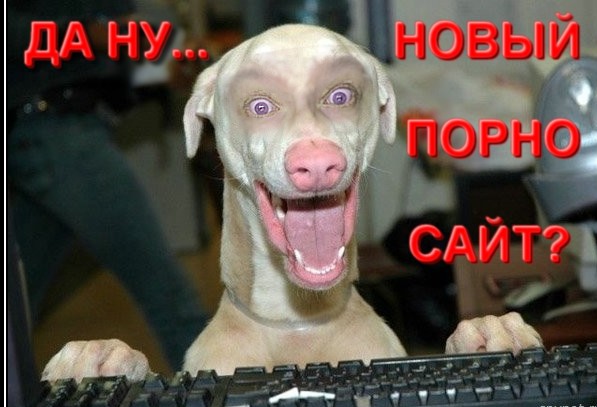Строго 18+!