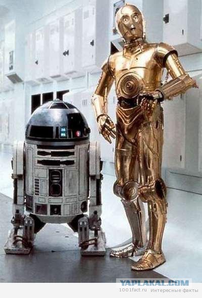 Интересные факты