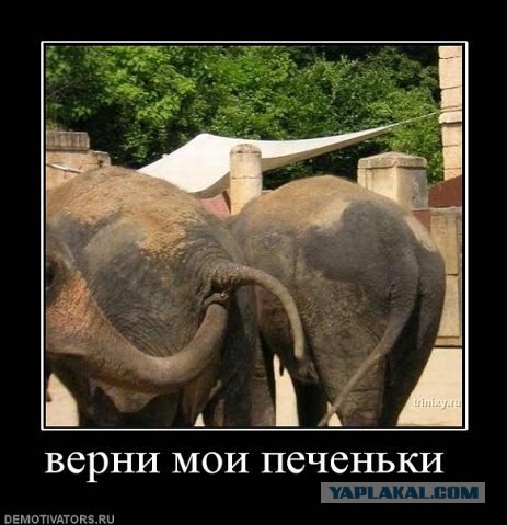 У каждой вещи есть настоящее название