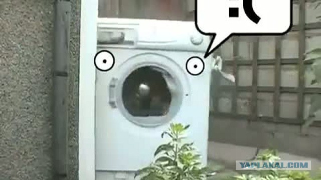 Ну конечно же это не лохотрон!