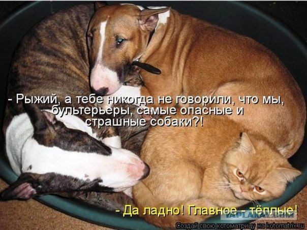 Свежие картинки из сети