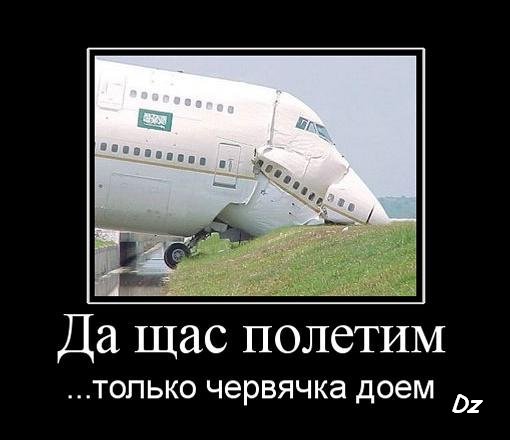 Свежие картинки из сети