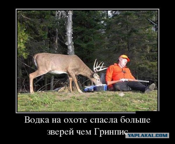 С Тяпницей!