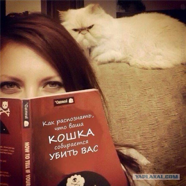 Весёлое из сети