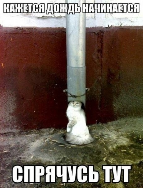 Фотки из инетов