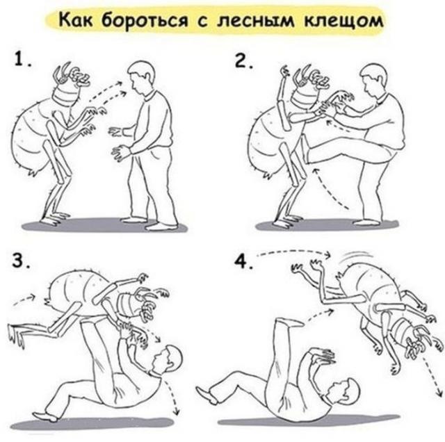 Про идиотов и клещей