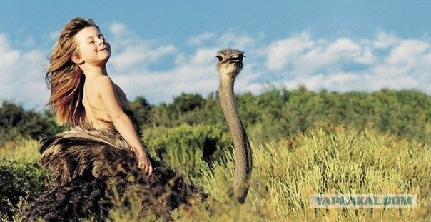 10 фотографий детей, чья прогулка удалась.