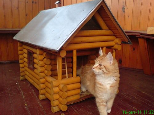 Каждому коту по хате!