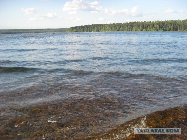 Вуокса 2015