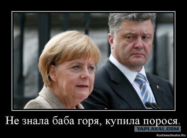 Банду геть! кричали они