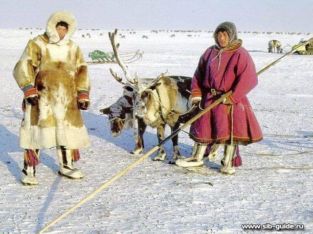 Просто некоторые факты о неграх