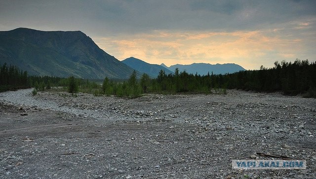 Гектар земли на Дальнем Востоке