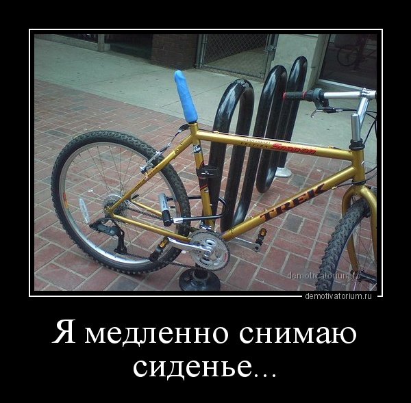 Веселые картинки