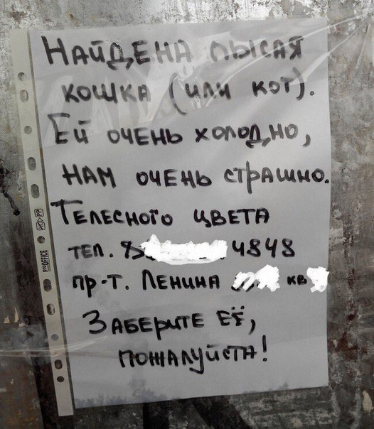 Смешные объявления и надписи