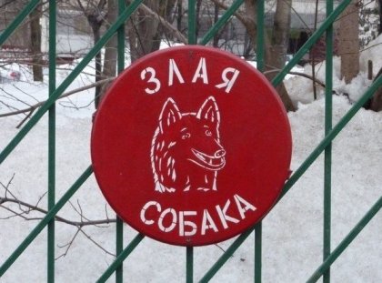 Забавные картинки из Сети