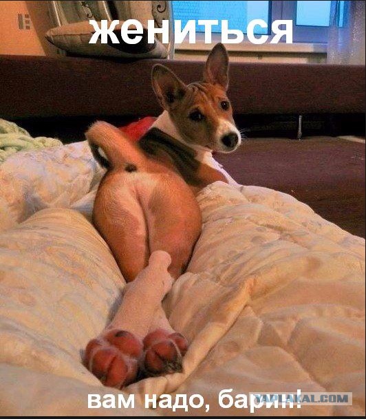 Грузовик