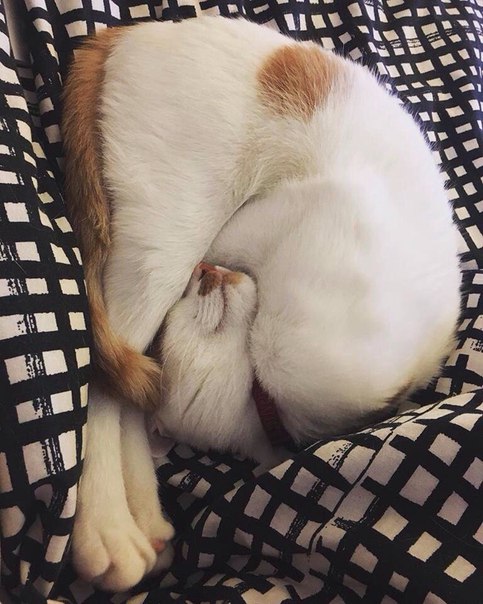 Подборка картинок 17.02.16